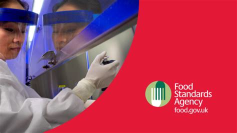 Understanding Antimicrobial Resistance In Foodborne Pathogens Food