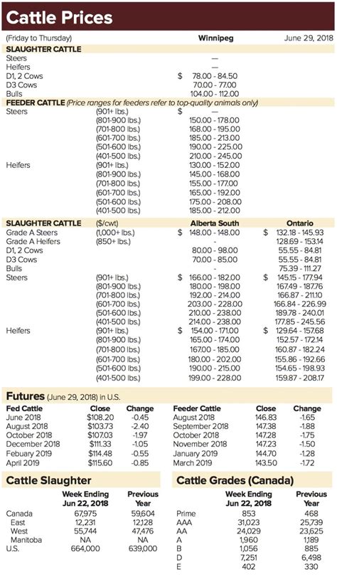 Cattle prices hold steady on feed crop expectations - Manitoba Co-operator