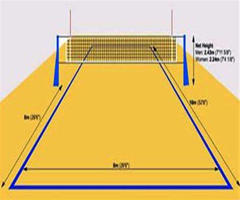 Understanding The Dimensions And Markings Of A Volleyball Court