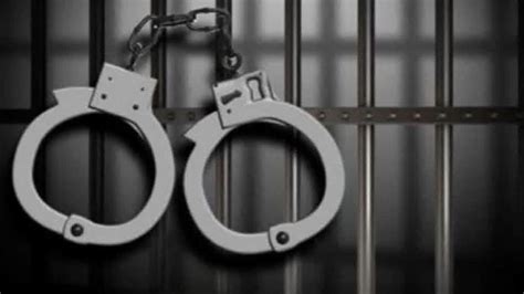 Punjab Police Bust Inter State Arms Smuggling Racket Arrest Two