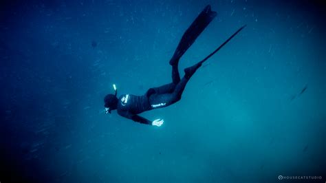 Banco De Imagens Oceano Mergulho Livre Mergulho Submarino Azul