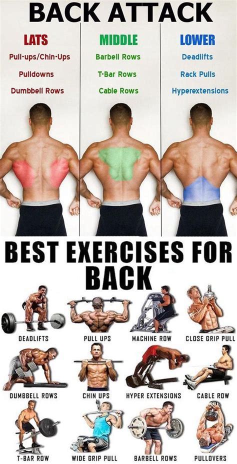 🚨tutorial Back Workout 👇and Guide Fitness