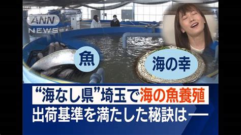 【画像】“海なし県”埼玉で温泉施設が“海の幸”サバ養殖のワケ「事業自体が似ていて挑戦」 ライブドアニュース