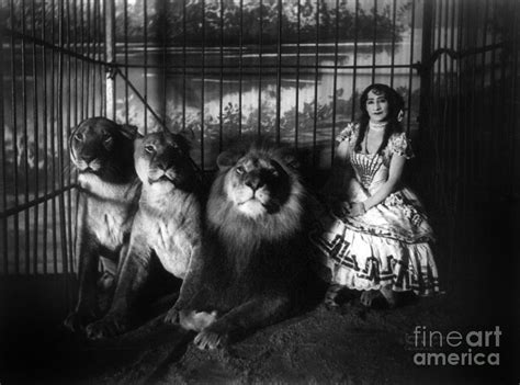 Circus Lion Tamer C1899 Photograph By Granger Fine Art America