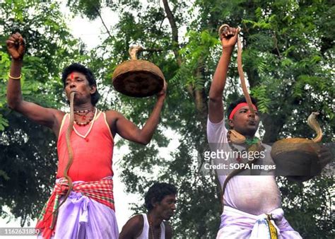 Silli Photos And Premium High Res Pictures Getty Images