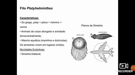 Platelmintos Esquistossomose Ten Ase E Cisticercose Youtube