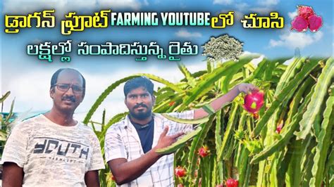 Dragon Fruit Farming In Telugu Dragon