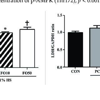 Changes in (a) lactate and (b) lactate dehydrogenase levels were ...