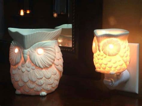 Owl Candle Warmer From Scentsy Scentsy Warmer And Wax Melts Scentsy Uk