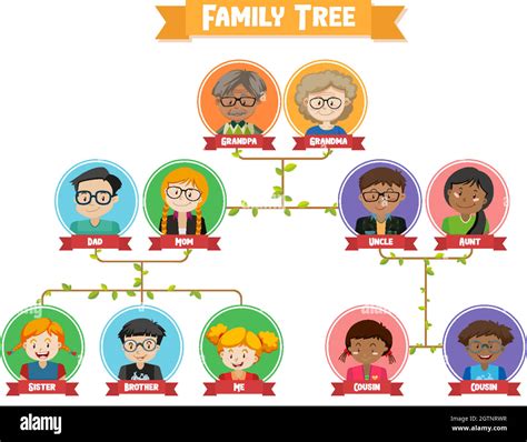 Diagrama Que Muestra El Rbol Geneal Gico De Tres Generaciones Imagen