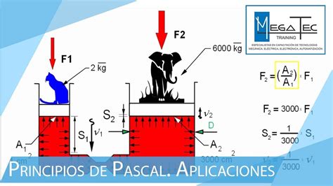 Principios De Pascal Aplicaciones Youtube