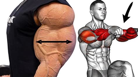 Bicep Tricep Workout And Forearms To Get Huge Big Youtube