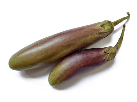 Eggplant Purple – Koerner Agro Export Center