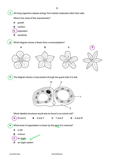 Solution Igcse Biology Past Paper Paper 2 Extended Multiple Choice