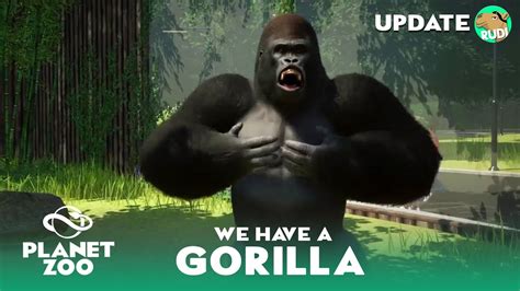 Gorilla Incl Video Footage Reveal Planet Zoo Animal Update Youtube