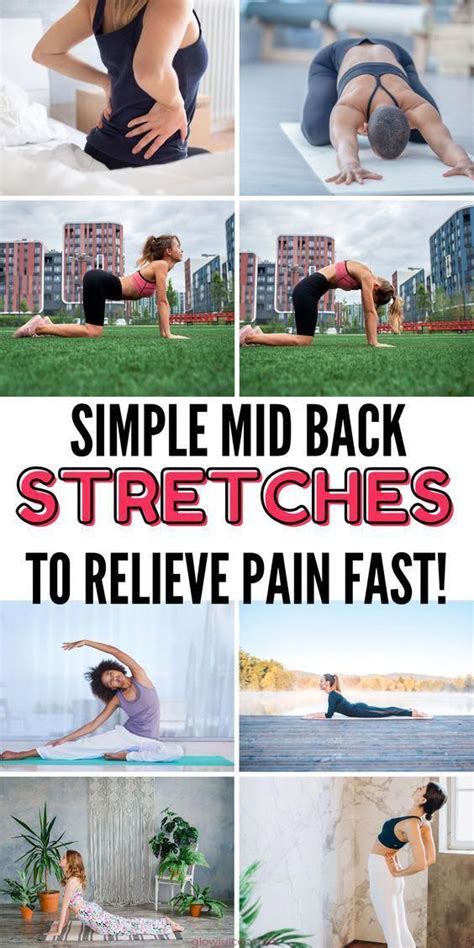 Stretching Exercises For Back Pain | Back exercises, Back pain ...