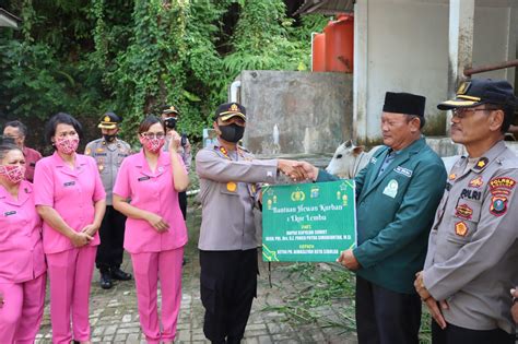 Polres Sibolga Serahkan 1 Ekor Lembu Kurban Hari Raya Idul Adha Kepada