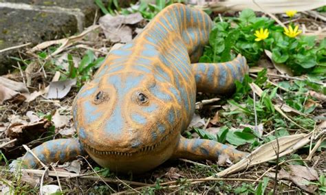 Discover 6 Incredible Devonian Period Animals - A-Z Animals