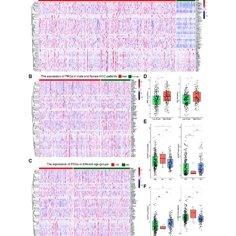 The Expression Profile Of 56 Pyroptosis Genes In Hcc A Heat Map