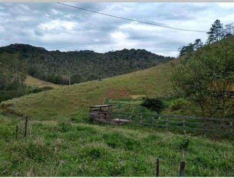 Fazenda S Tio M Em Centro Em Natividade Da Serra Por R