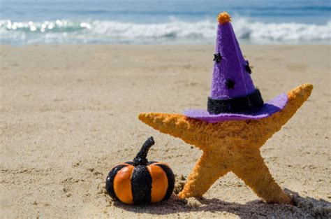 360 Horror Starfish Stock Photos Pictures And Royalty Free Images Istock