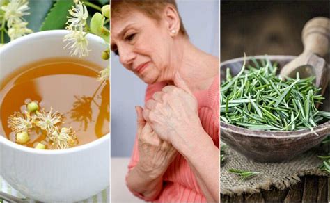 5 Herbal Remedies For The Treatment Of Arthritis Step To Health