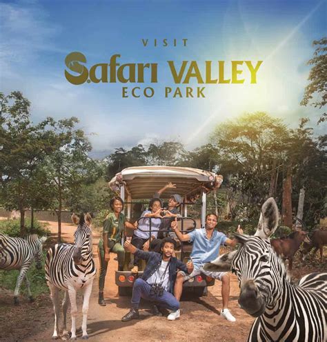 Wildlife & Animals – Safari Valley Resort