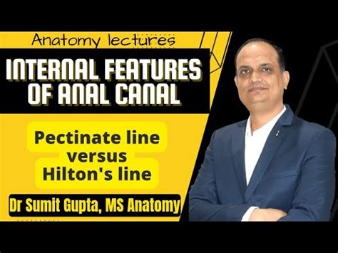 ANAL CANAL INTERNAL FEATURES YouTube