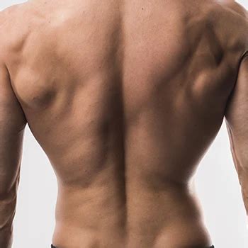 10 Best Middle Back Exercises For Strength Mass Routines