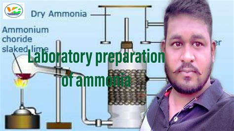 Preparation Of Ammonia In The Laboratory प्रयोगशाला में अमोनिया गैस को बनाने की विधि Youtube