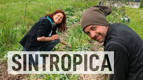 IL MAGO Dell AGRICOLTURA SINTROPICA Con Gennaro Cardone YouTube