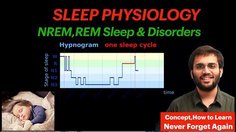 Sleep Physiology Sleep Cycle Nrem Rem Sleep Cns Physiology Video