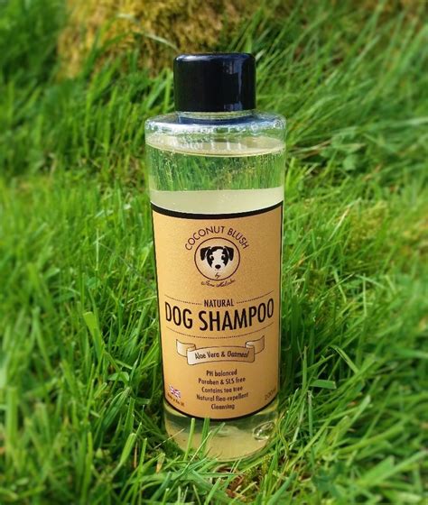 Handmade Natural Dog Shampoo - Aloe Vera And Oatmeal - 200ml - On The ...