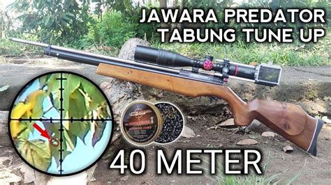 Ready Uklik Siap TempurUji 40 Meter Jawara Predator Full Upgrade