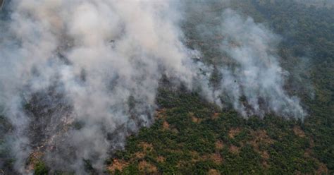 Cientos De Nuevos Incendios En La Amazonía ¿es Incapaz El Hombre De