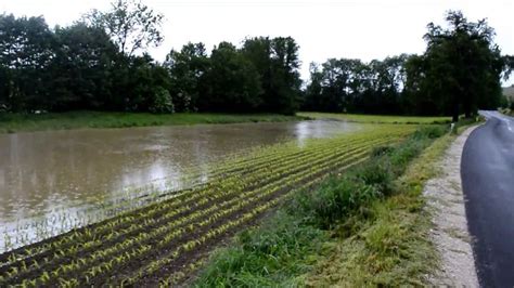 Hochwasser Wels Land O Hd Youtube