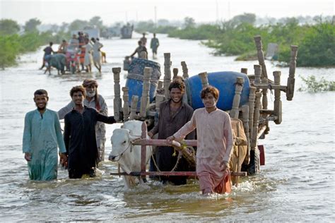 Pakistan floods hit 33m people | The Week