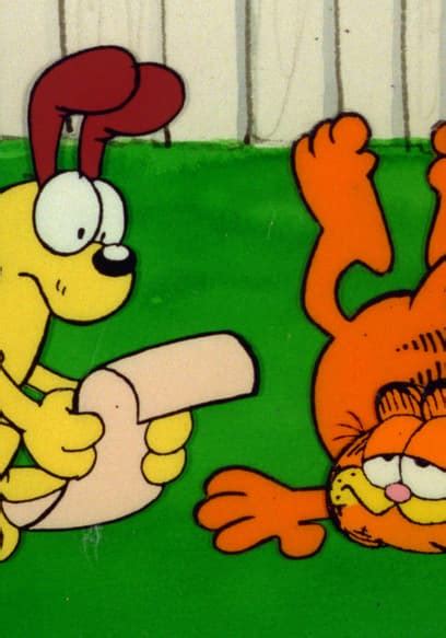 Watch Garfield And Friends S01 E112 Caped Avenger Shy Fly Guy