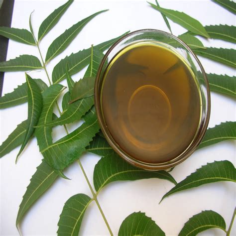 Neem Oil/Cake Manufacturers, Supplier & Exporter India
