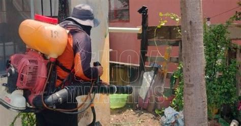 Hoy Tamaulipas Gobierno De Ciudad Madero Refuerza Acciones Preventivas Contra El Dengue