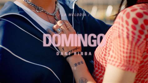 Dani Ribba Domingo Visualizer YouTube Music