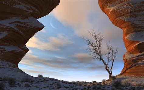 snow, Desert Wallpapers HD / Desktop and Mobile Backgrounds