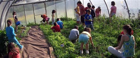 Actividades Para La Educación Ambiental Y La Sostenibilidad Albergue