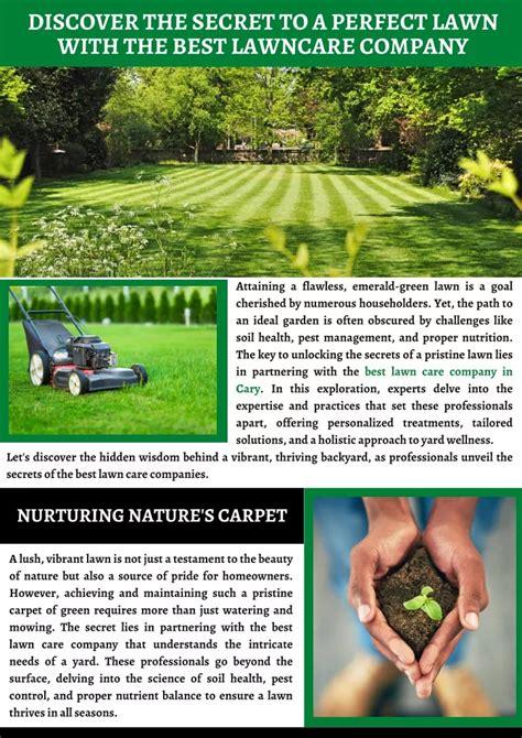 Ppt Discover The Secret To A Perfect Lawn With The Best Lawncare