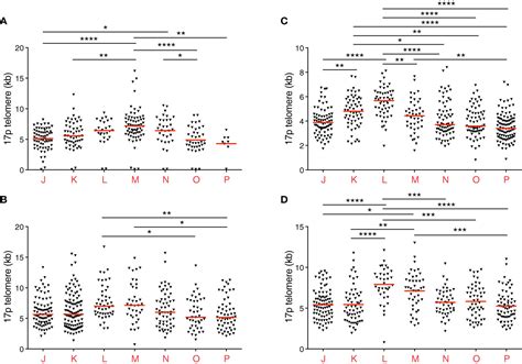 Frontiers T Cell Memory Revisited Using Single Telomere Length Analysis