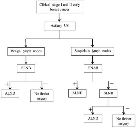 Schematic Of Perioperative Diagnosis Of Axillary Metastasis Us