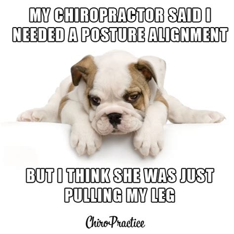 Chiropractic Joke Chiropractic Pinterest