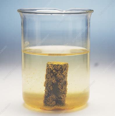 Iron Reacting In Water Stock Image A Science Photo Library