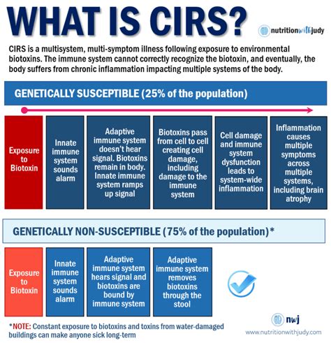 CIRS | Nutrition with Judy | Holistic & Functional Wellness