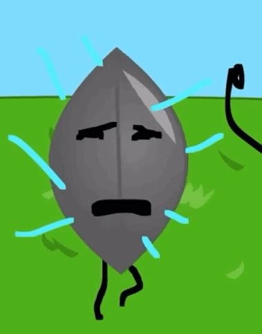 Leafy Bfdi Bfdia Leafy Bfdi Bfdia Bfb Discover Share GIFs